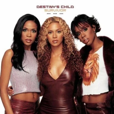 CD Maxi Single Destiny's Child Survivor TOP - Bild 1 von 2
