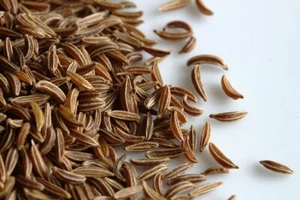 1,000 CARAWAY SEEDS For Growing Meridian Fennel, Persian Cumin Non-GMO - Picture 1 of 1