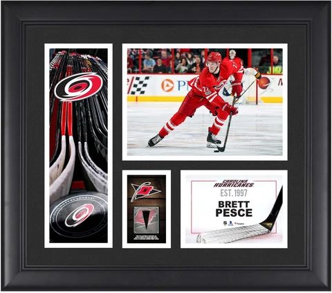 B.Pesce Car. Hurricanes Framed 15x17 Collage & Piece of GU Puck Cover