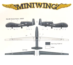 1/144 Modern UAV  : Northrop Grumman RQ-4B Global Hawk  [JASDF] #374 : MINIWING - Picture 1 of 2