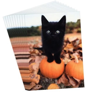 SET BESTEHEND AUS 10 GRAPHIQUE DE FRANCE HALLOWEEN Karten + Umschlägen, schwarzes Kätzchen Kürbis - Bild 1 von 5