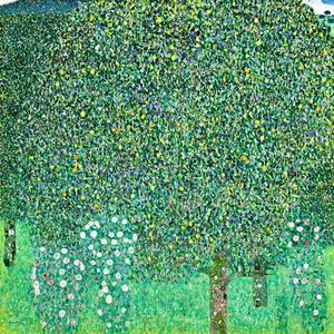 Rosebushes under the Trees A1+ by Gustav Klimt High Quality Canvas Art Print - Picture 1 of 1