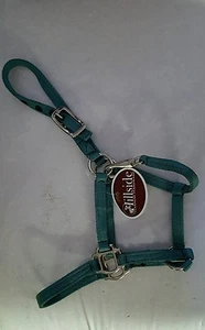 Halter,Pony teal,large pony,mini horse Hillside - Picture 1 of 2