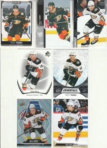 🏒 20+ verschiedene TROY TERRY Karten Lot 2021- 2024 Enten - Bild 1 von 3