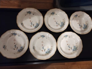 Mikasa Garden Club Day Dreams 8 1/2" Soup Cereal Bowls Blue Floral Set of 6 EUC - Picture 1 of 3