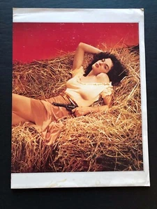 Jane Russell My Path & My Detours Autobiography (1985)- Movie Press Kit Envelope - Picture 1 of 4