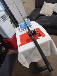 Trolling Fishing Rod Shimano TDR 8'6' ML 8-17lb And Reel Triton 200GT - Picture 1 of 16