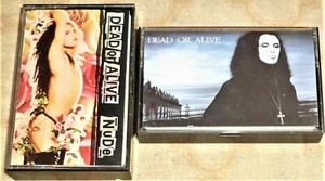 (2) CASSETTE TAPES by DEAD OR ALIVE - Picture 1 of 2