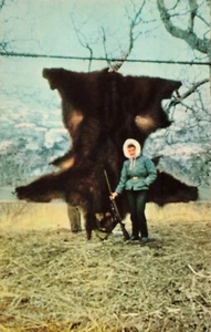 Isla Kodiak Alaska, cazador de osos con piel de oso Kodiak gigante, postal de colección - Imagen 1 de 2