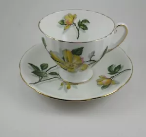 Vintage Royal Standard Fine Bone China Tea Cup and Saucer - England Camillia - Picture 1 of 9