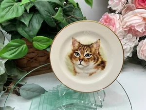 Aperitivo, plato de pan o postre Pickard China atigrado para gato 6" excelente estado - Imagen 1 de 6