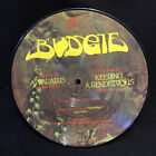 Budgie Keeping A Rendezvous/Apparatus 7" disco immagine singola importazione Regno Unito 1° 1981