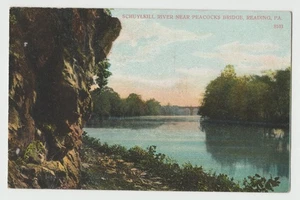 SCHUYLKILL RIVER in der Nähe PFAUENBRÜCKE Lesen Pennsylvania PA Postkarte DB - Bild 1 von 2
