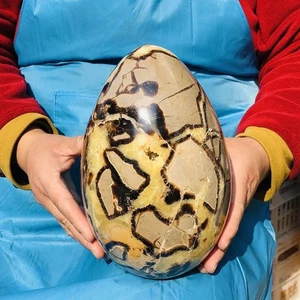 11.96LB Natural Turtle Back Stone Egg Shape Dragon Crystal Crack healing - Picture 1 of 15