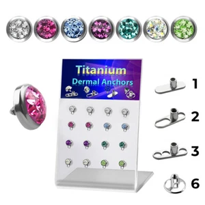 L-stand 32pcs 16 Base 16 Tops Ferido Glued Multi Gems Titanium Dermal Anchor 5mm - Picture 1 of 21