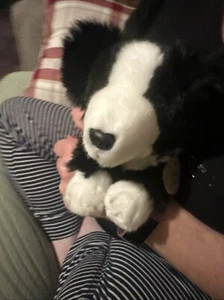 Keel Toys Jess Border Collie soft toy plush - Picture 1 of 5