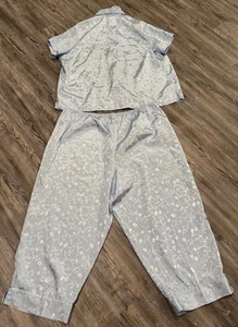 Secret Treasures Women’s Light Blue Silky Satin Short Sleeve / Capri PJ Set 2XL - Picture 1 of 17