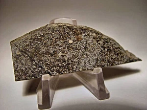 CADUTA RARA! SPLENDIDA DAULA METEORITE L5 ECUADOR 25,8 GMS - Foto 1 di 5