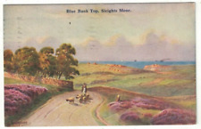 Artist Drawn Postcard Blue Bank Top, Sleights Moor Whitby Yorkshire Posted 1936