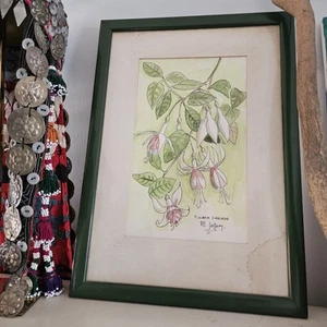Botanical Floral Fushia Cascade Painting Watercolour Vintage - Picture 1 of 2