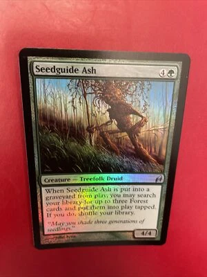 MTG - Seedguide Ash - FOIL - Lorwyn - NM/MT - Brandy New! - Image 1 of 2