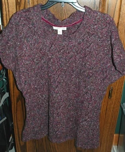 Large NWOT Coldwater Creek Pointelle Marled SS Sweater - Picture 1 of 9