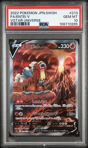 VENDEDOR DE EE. UU. PSA 10 Entei V 213/172 japonés arte completo Holo SAR VSTAR Universe 2022 - Imagen 1 de 1