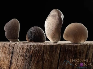 SAFFORDITA, Piedra Cintamani, Obsidiana, Tectita, Cristal Crudo, Metafísico, E1262 - Imagen 1 de 11