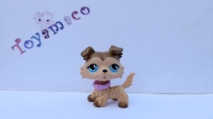 Original LPS Littlest Pet Shop Collie #893 - Free Shipping -