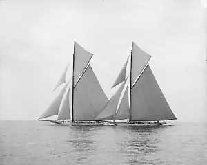 Segelboot Yacht Race, 1903, Reliance & Shamrock III, neues Reproduktionsbild - Bild 1 von 1