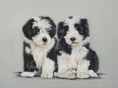 Bearded Collie Puppies Original Artwork  - Изображение 1 из 2