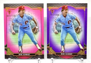 Lote de 2 Mike Schmidt 2022 Topps Triple Threads Amatista y Turmalina #69 - Imagen 1 de 3