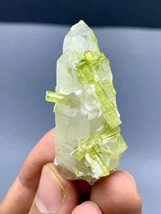 Green Tourmaline Crystals on Quartz from Chapu Mine Skardu Pakistan - 18 gram - Picture 1 of 4