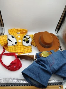 Costruisci Un Orso Disney Pixar Toy Story Vestito Legno - Foto 1 di 3