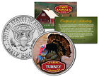 TURKEY * Collectible Farm Animals * JFK Kennedy Half Dollar US Colorized Coin