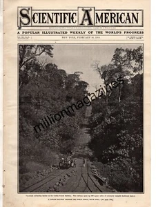 1910 Scientific American February 26 - India Jungle railroad; Goblin shark - Picture 1 of 1