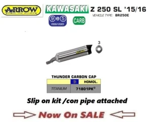 Kawasaki Z250 sl 2015 15 2016 16 escape deslizante Arrow Thunder titanio EEC - Imagen 1 de 4