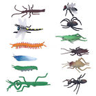 12Pcs Realistic Insect Figures Toy Plastic Bug Figurines 4 To 6 Years Old Gof