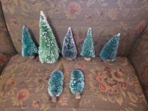 bottle brush trees lot - Picture 1 of 1