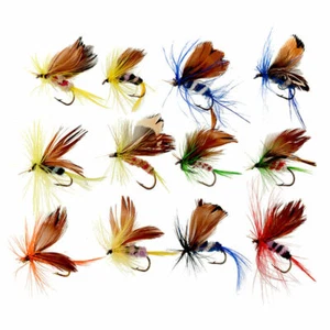 12 Trout Flies for Fly Fishing Wet Dry Nymph Buzzers Insect Lure Sharpened Hooks - Picture 1 of 9