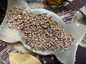 Heideblumen, Glück, Liebe, Ritualkraft, Regenherstellung, Reife - Bild 1 von 2