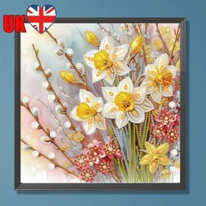 Kit de Pintura Diamante Taladro Forma Especial Parcial Hágalo Usted Mismo 5D Decoración Flor 30x30cm - Imagen 1 de 12