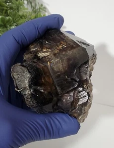 Smoky Skeletal Quartz, Elestial Quartz Specimen 260g - Picture 1 of 16