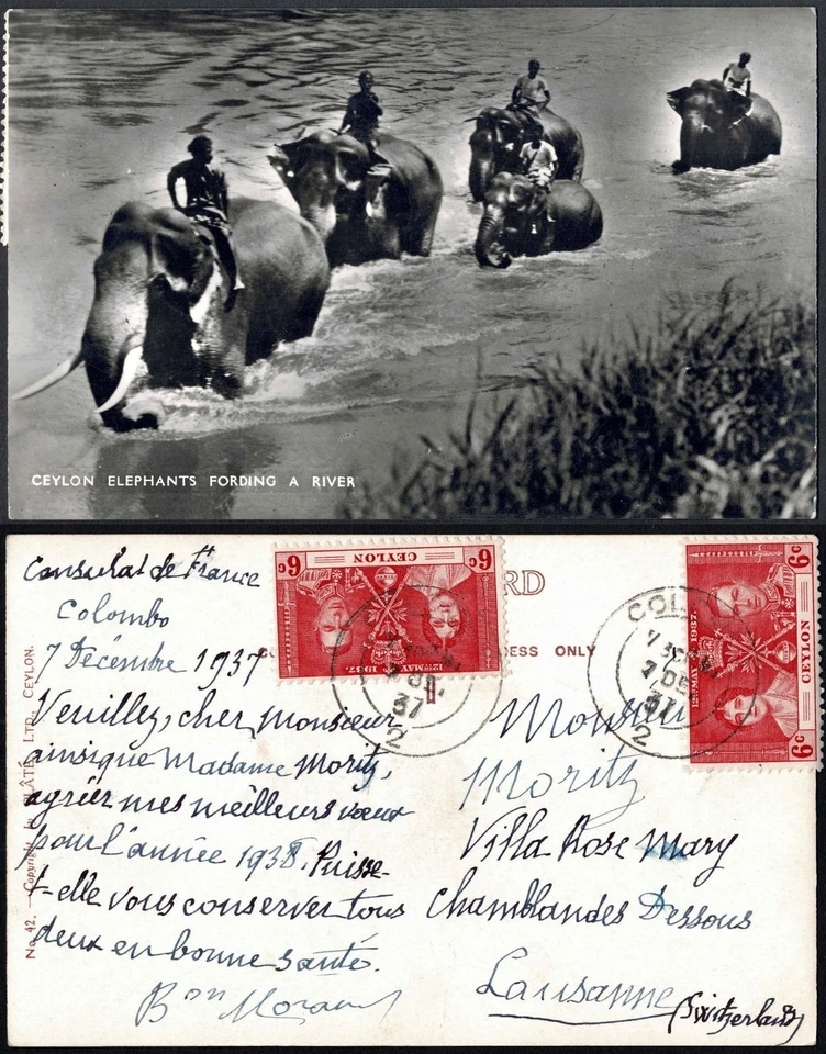 Ceilán 1937, elefantes fordingando un río, Colombo a Lausana, 6c par rojo Foto 1 de 3