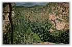 Sitton Gulch Painting Cloudland Canyon Trenton GA UNP Chrome Postcard R25