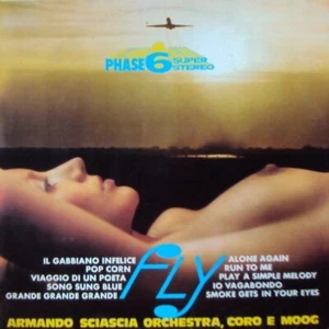 LP 33 Armando Sciascia Orchestra, Coro E Moog Fly Italy 1972 Vedette Sexy Cover - Imagen 1 de 2