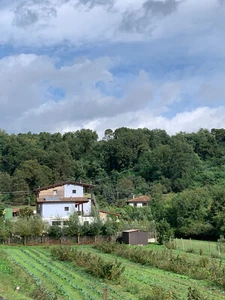 Öko -Ferienhaus - Bild 1 von 17