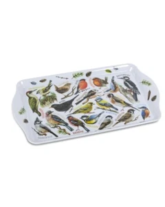 Plateau Rectangulaire Oiseaux Plastique Taille 26 X 16 CM - Bild 1 von 1