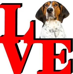 Lindo imán para refrigerador de perro Tree Walker CoonHound - Imagen 1 de 6