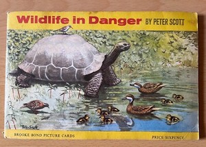 Brooke Bond Tea Cards | Wildlife in Danger Album and Cards | 1963 | Incomplete